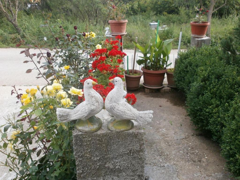Villa Ana Međugorje Екстериор снимка