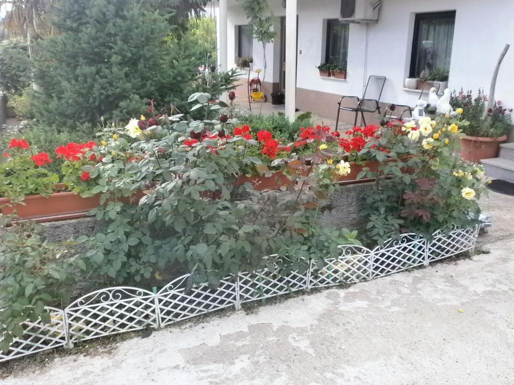 Villa Ana Međugorje Екстериор снимка